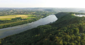 Drohnenaufnahme von Wald und Fluss